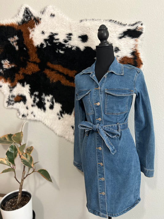 Denim Days Dress