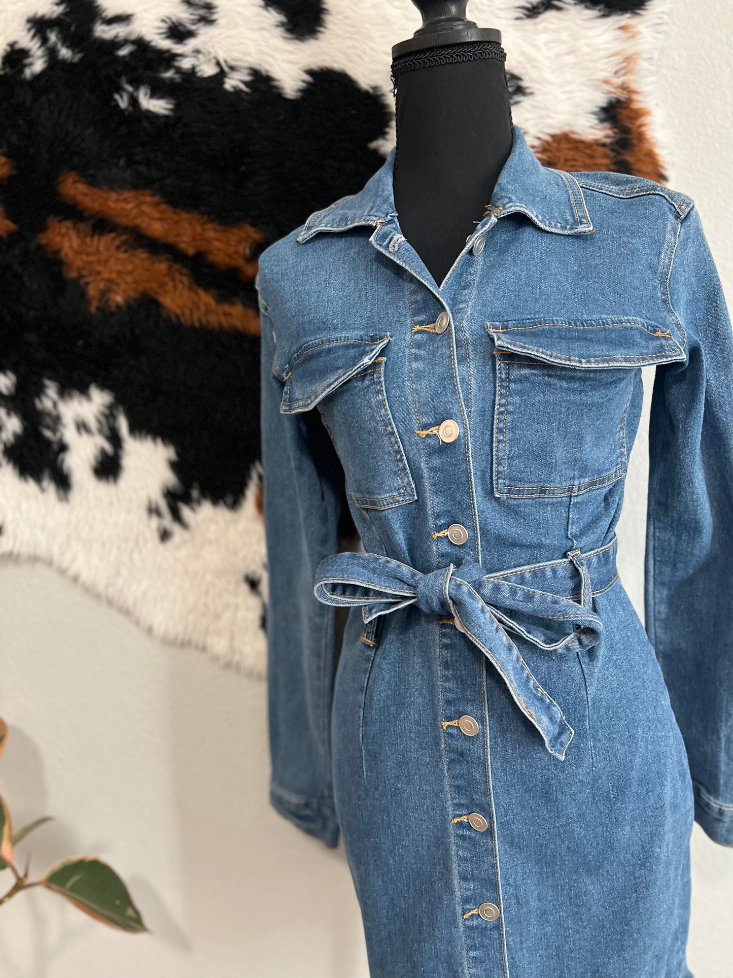 Denim Days Dress