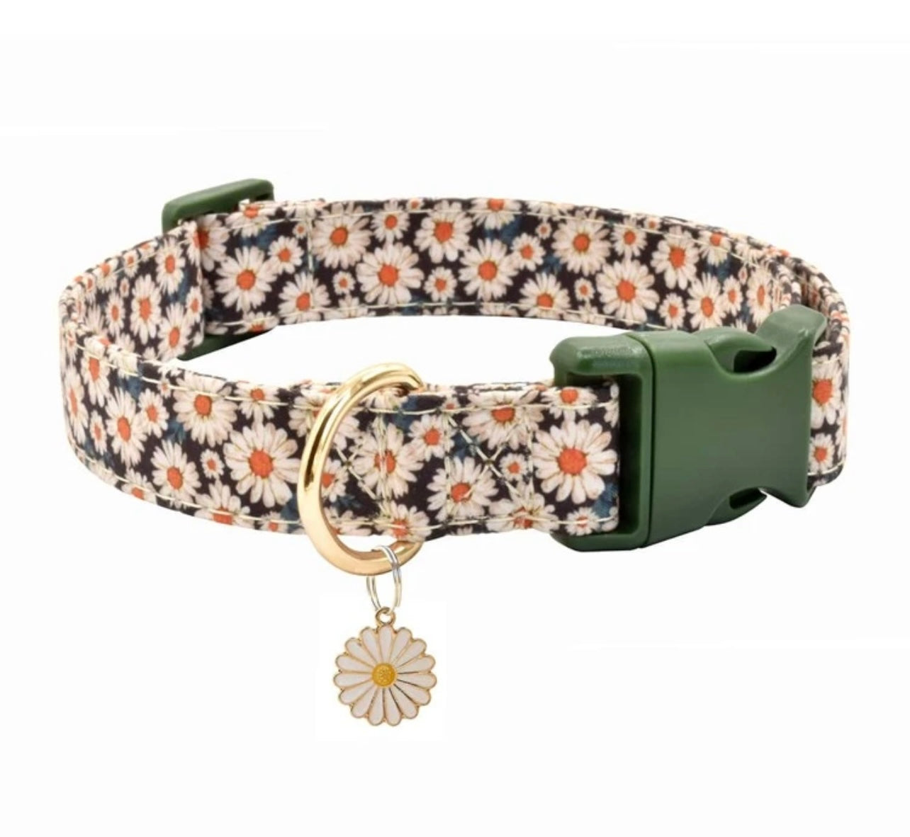 Daisy Duke Dog Collar