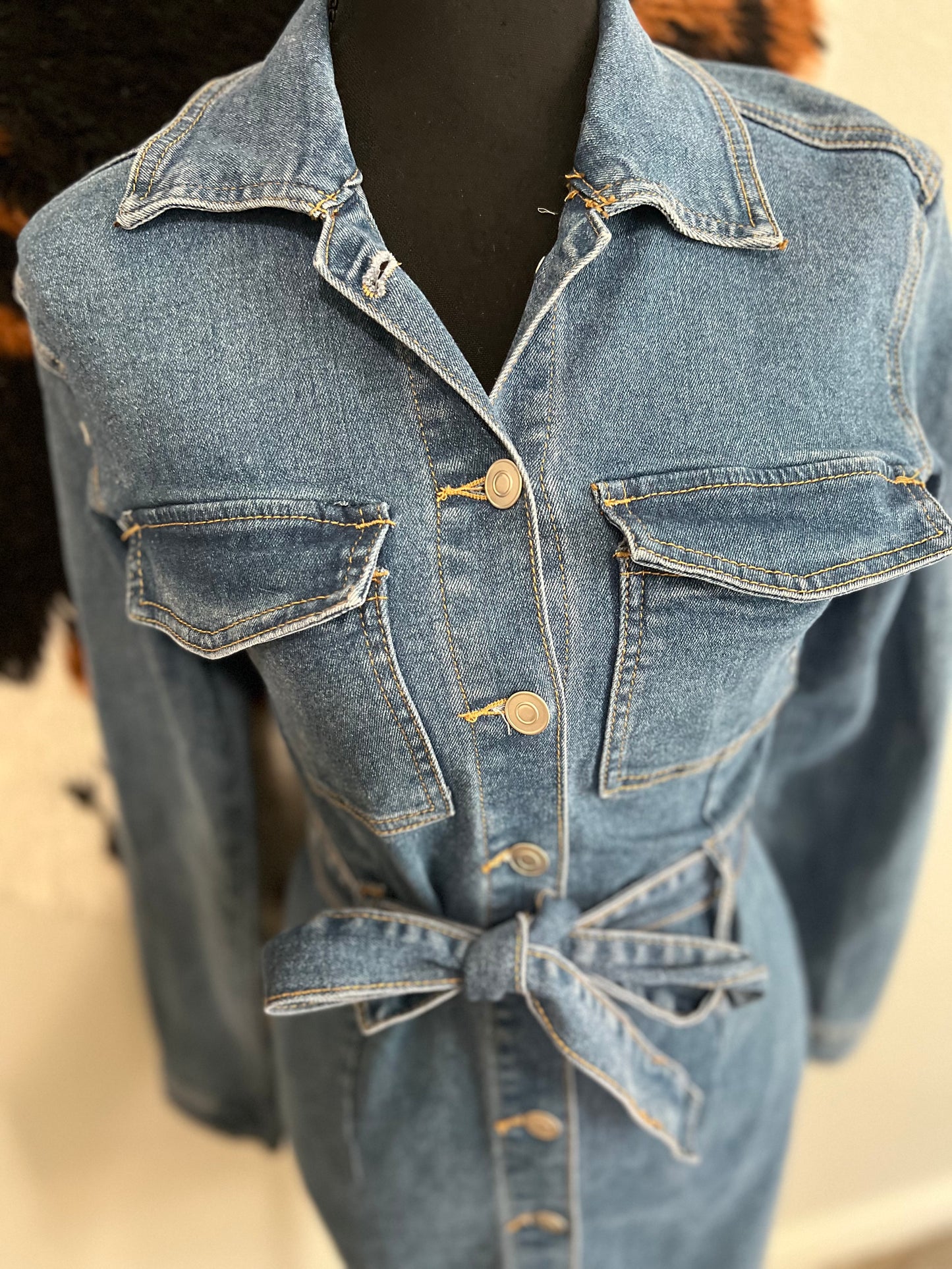 Denim Days Dress